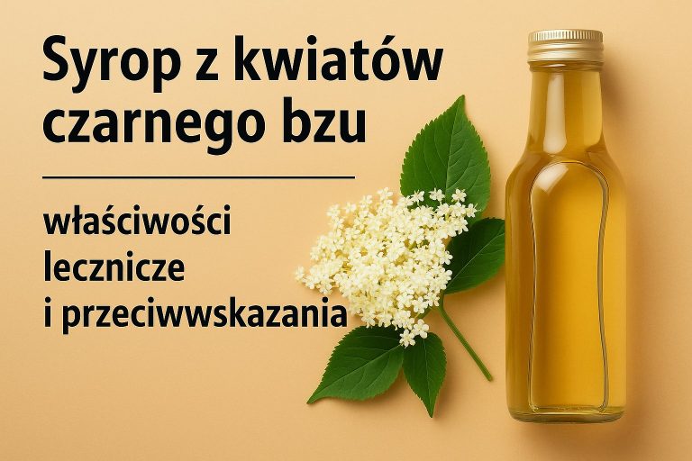 Syrop z kwiatów czarnego bzu - właściwości lecznicze i przeciwwskazania